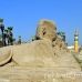 temple_luxor_lux_h_0077_egy3546.jpg